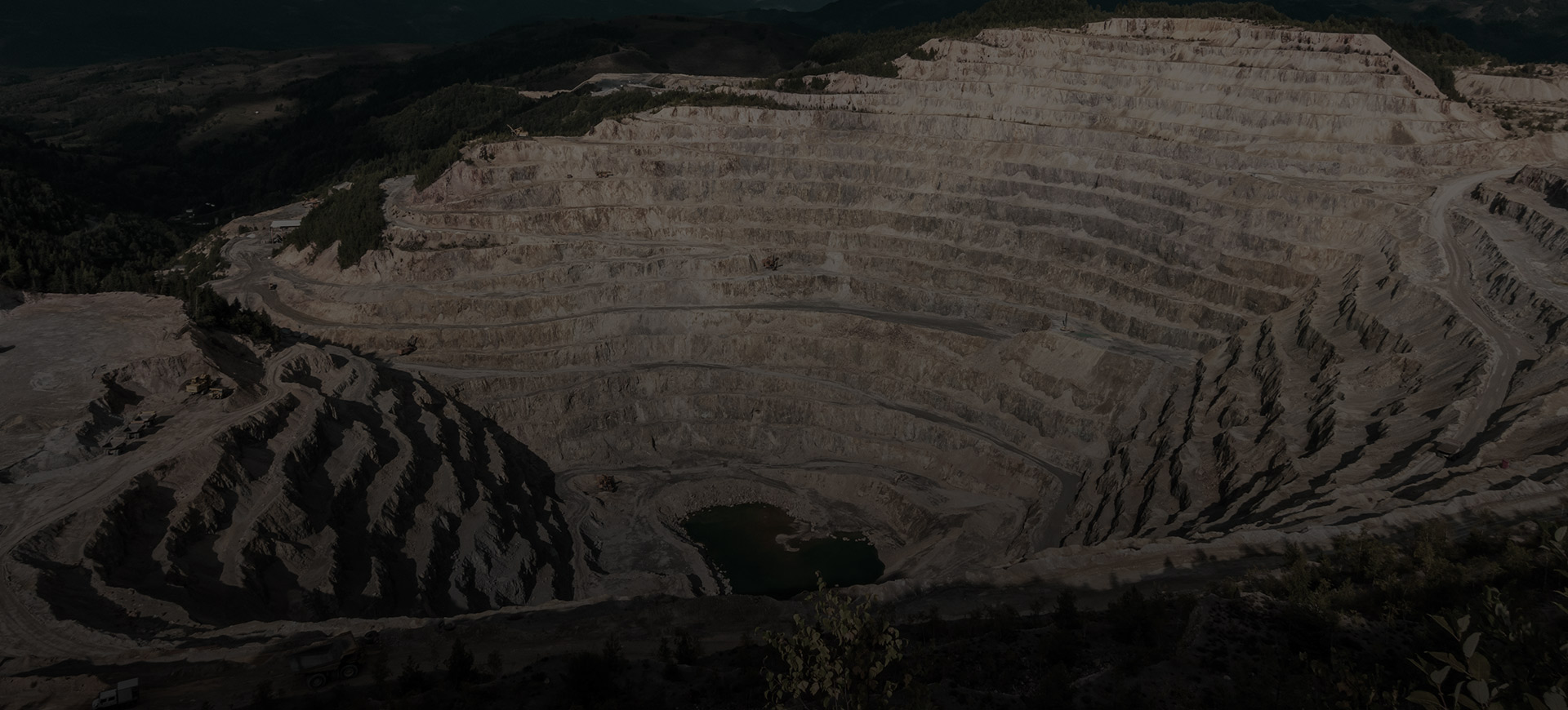 浙江大农实业股份有限公司